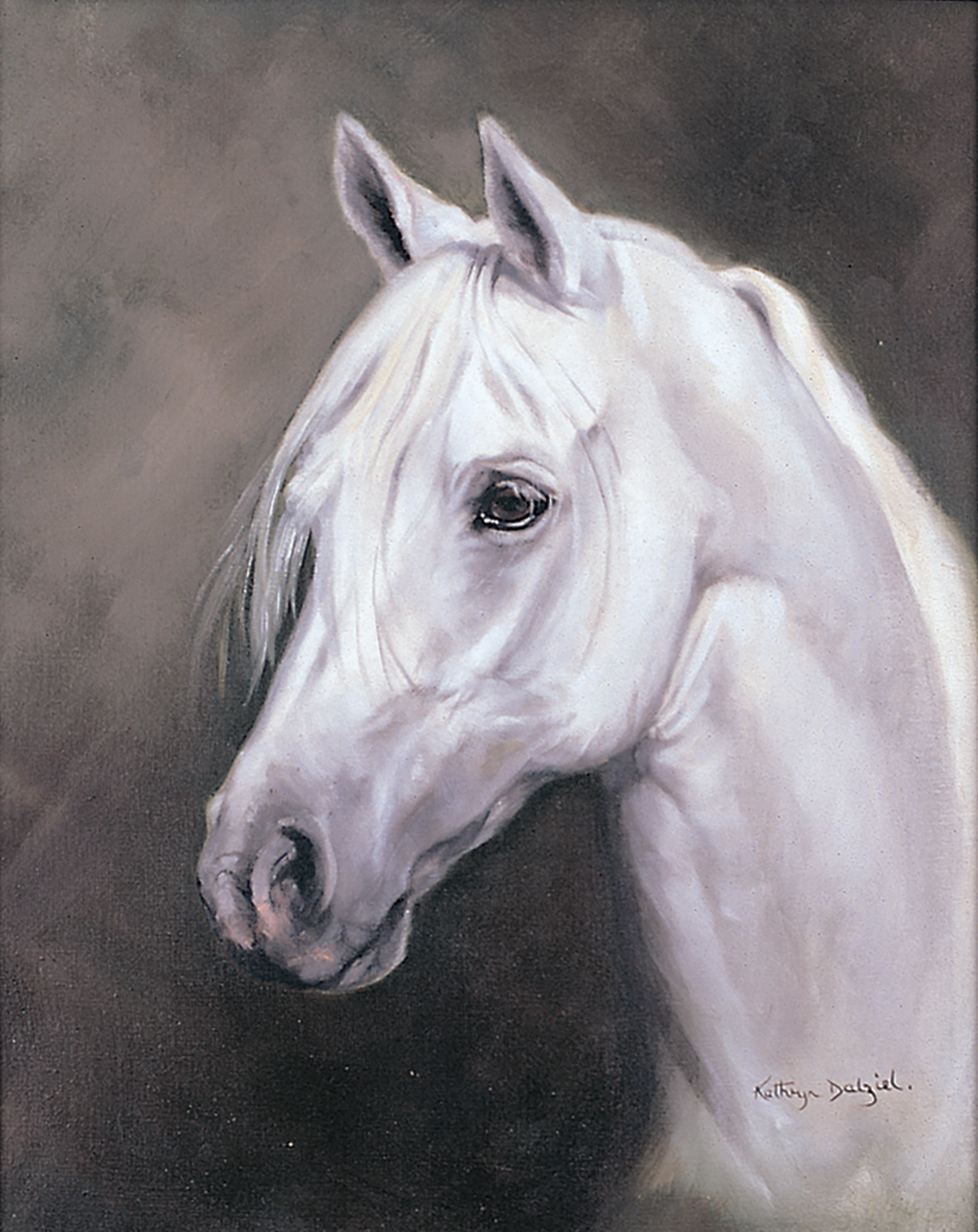 Arab Stallion Portrait