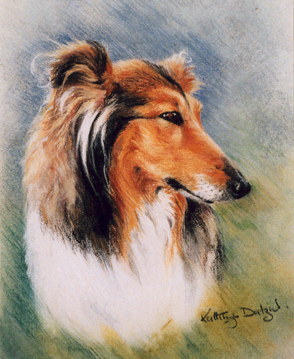Lassie Collie