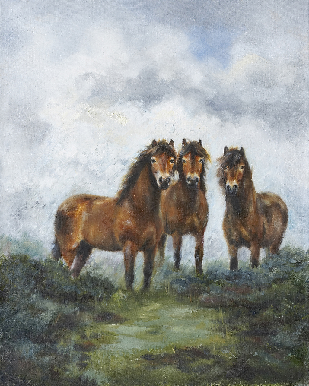 Ponies on the Moor