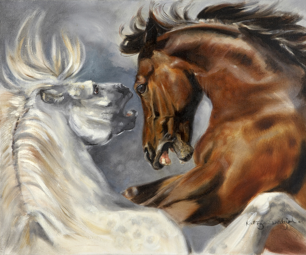 Stallion fight