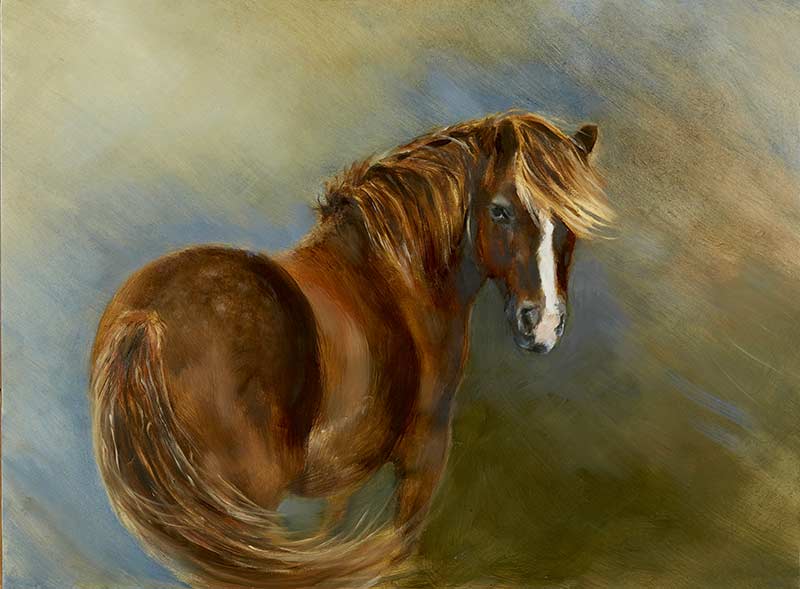 Pony Oil Painting