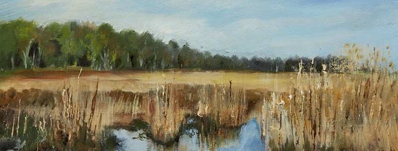 The New Forest – Oil on canvas