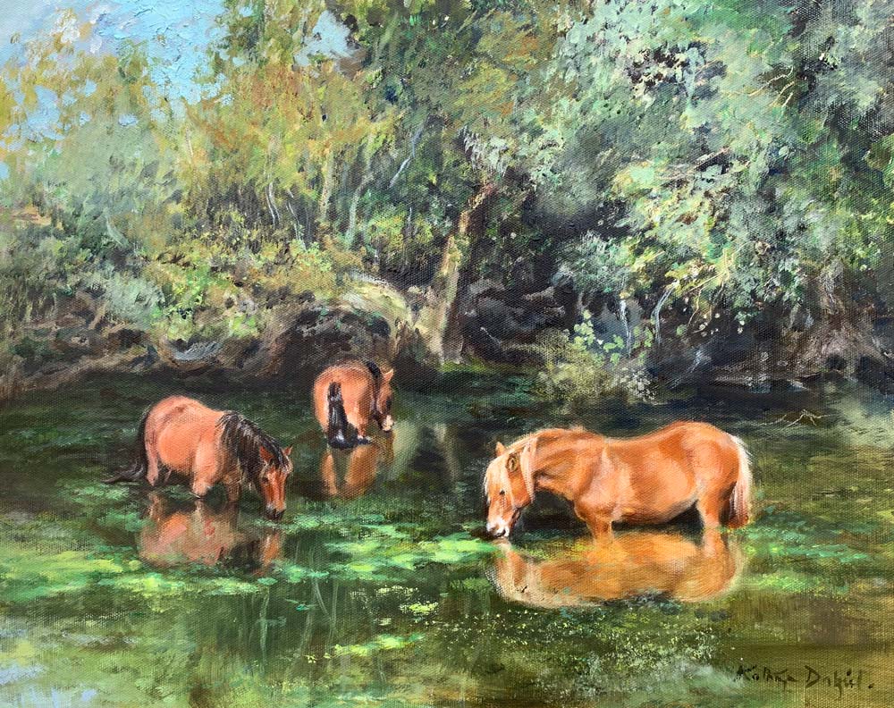 Ponies in the pond
