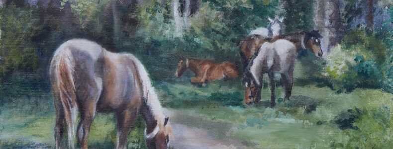 Forest ponies in the glade